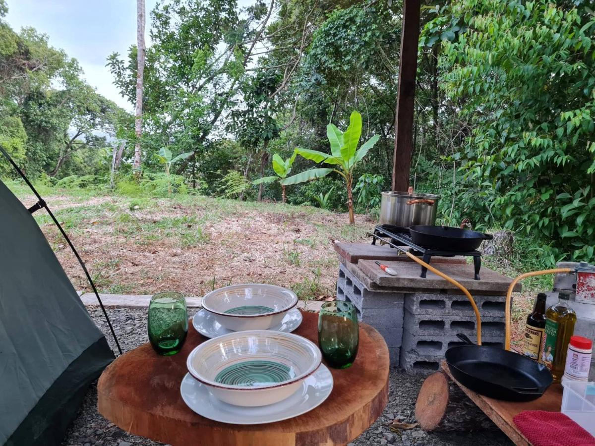 מלון קולון Jungle Eco Reserve מראה חיצוני תמונה