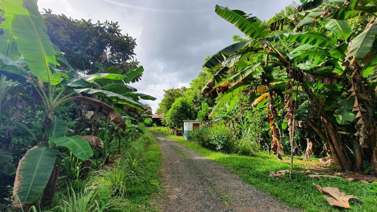 מלון קולון Jungle Eco Reserve מראה חיצוני תמונה