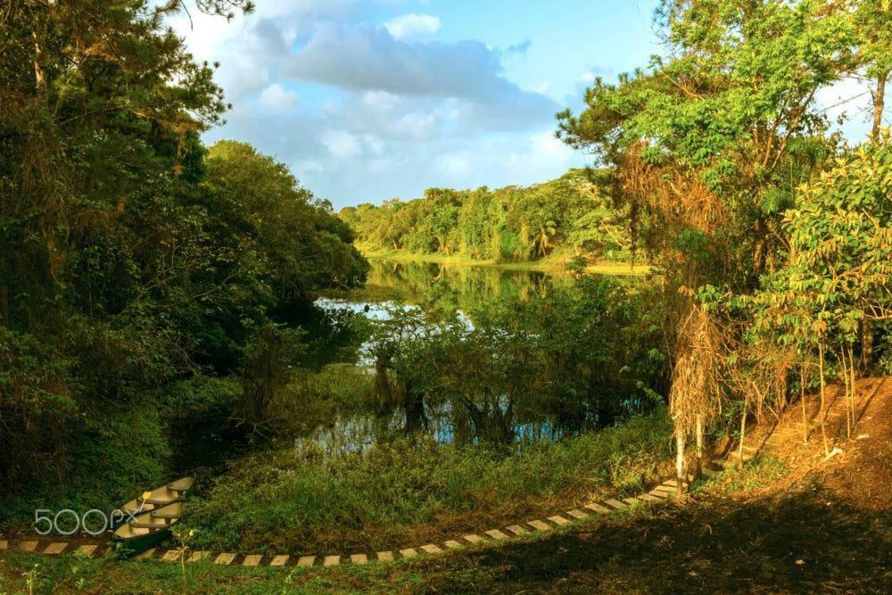 מלון קולון Jungle Eco Reserve מראה חיצוני תמונה