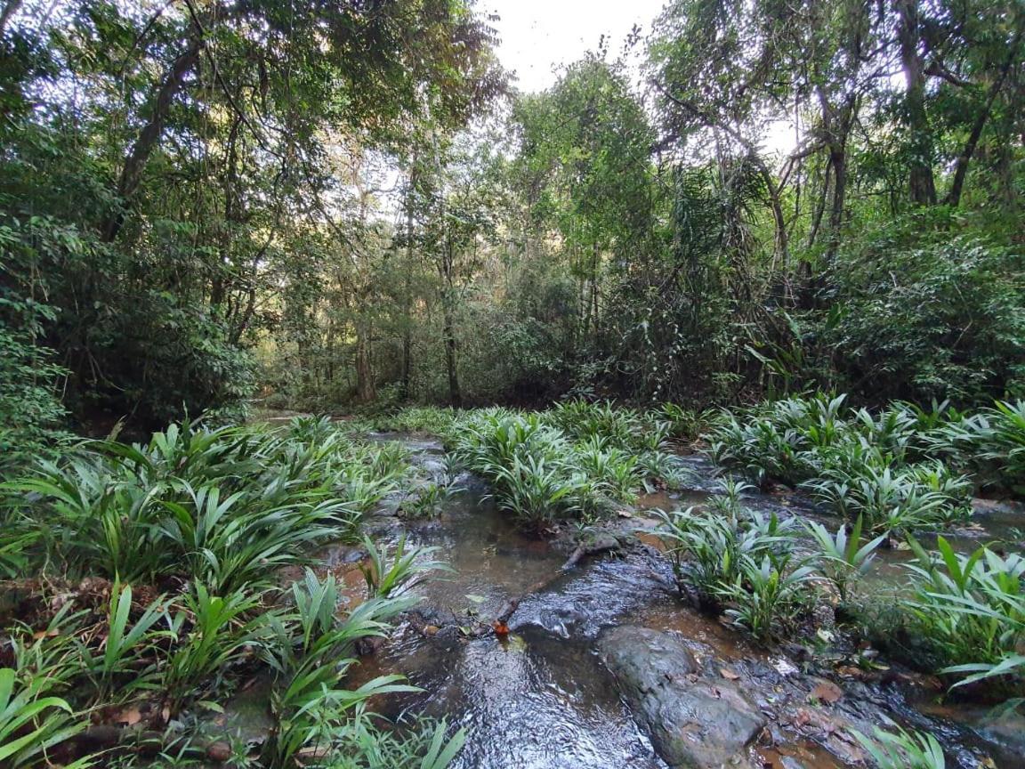 מלון קולון Jungle Eco Reserve מראה חיצוני תמונה